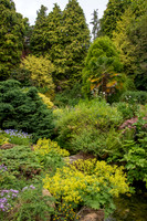 Compton Acres -20