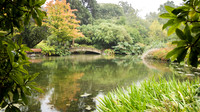 Botanical Gardens -3