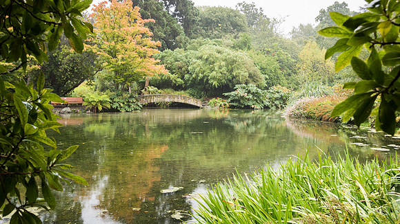 Botanical Gardens -3