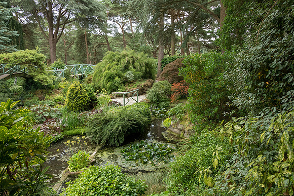 Compton Acres -27