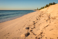 Beach at Sunset