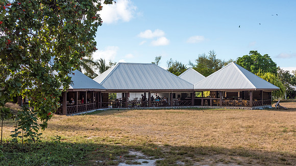 Bird Island Lodge