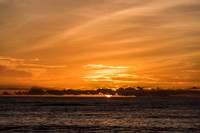Sunset Bird Island -4