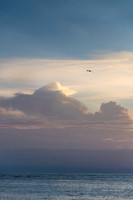 Sunset Bird Island -5