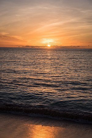 Sunset Bird Island -3