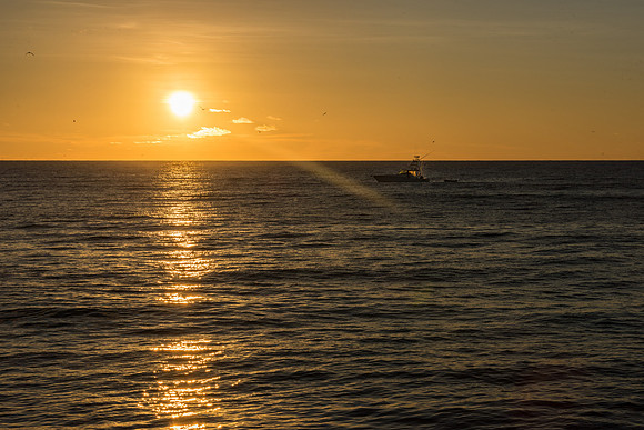 Sunset Bird Island