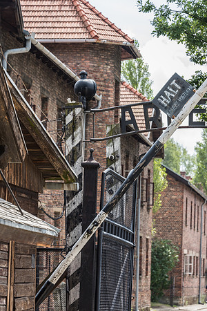 Auschwitz -4