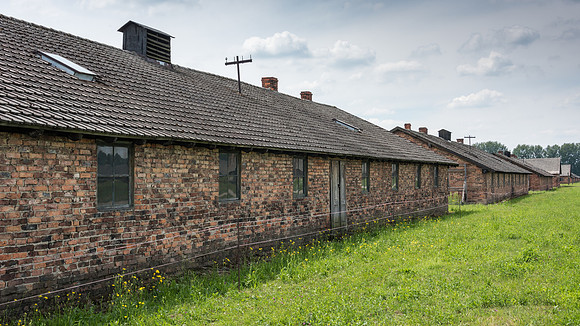 Auschwitz-Birkenau -8