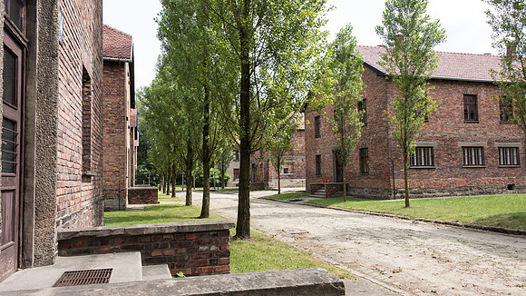 Auschwitz -6