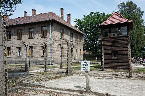 Auschwitz -14
