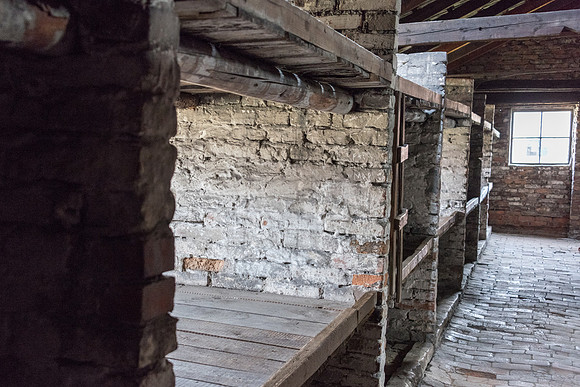 Auschwitz-Birkenau -10
