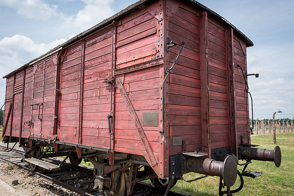 Auschwitz-Birkenau -4