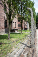 Auschwitz -12