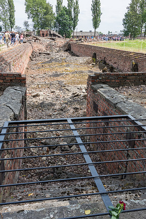 Auschwitz-Birkenau -5