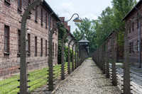 Auschwitz -15