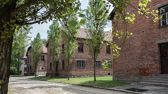 Auschwitz -5
