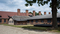 Auschwitz -10