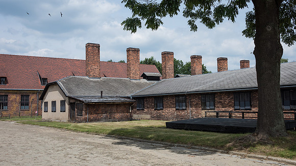 Auschwitz -10