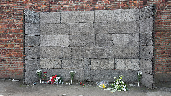 Auschwitz -8