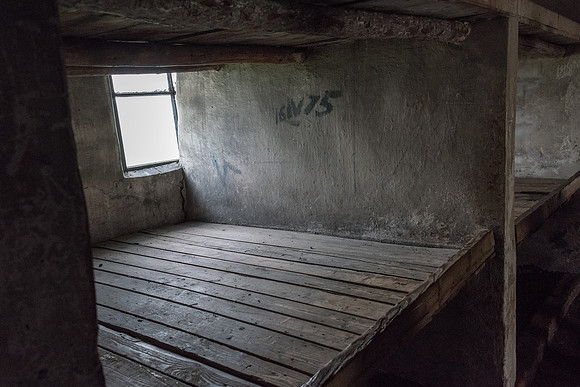Auschwitz-Birkenau -11