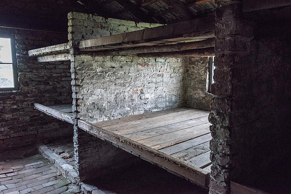 Auschwitz-Birkenau -12
