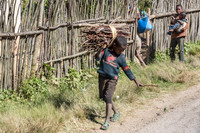 Child Carrying Sticks