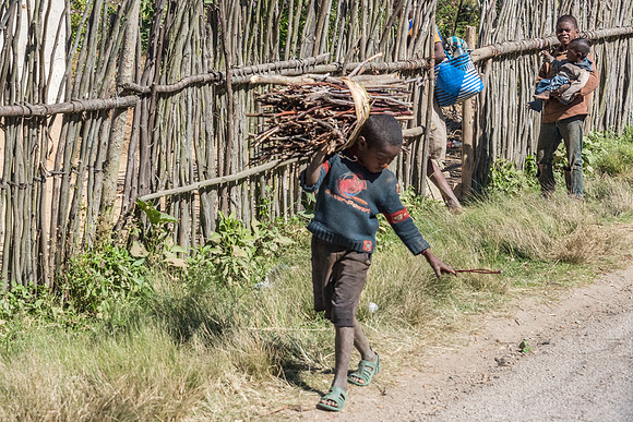 Child Carrying Sticks