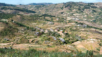 Rural Scene -3
