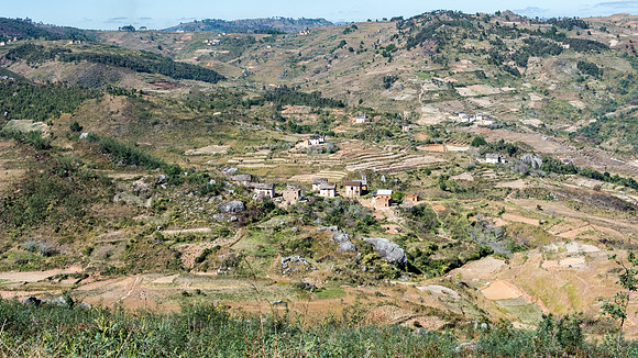 Rural Scene -3