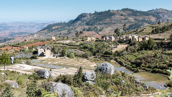 Rural Scene -4