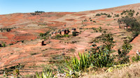 Rural Scene -9