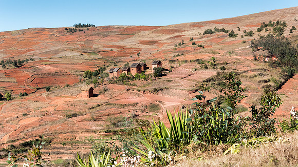 Rural Scene -9