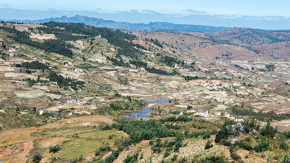 Rural Scene -2