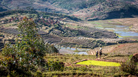 Rural Scene -6