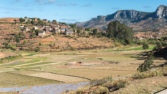 Rural Scene -8