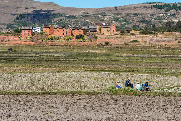 Rural Scene -1