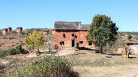 Rural Scene -5
