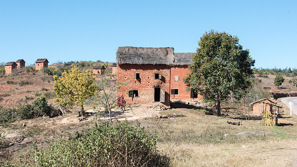 Rural Scene -5