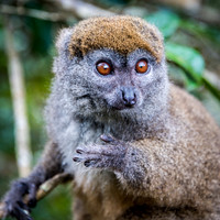 Madagascar