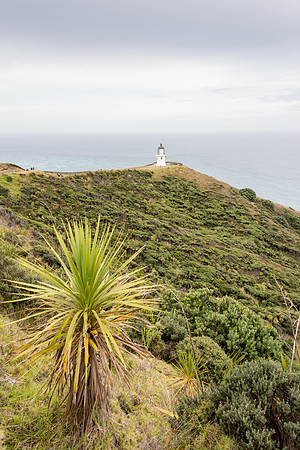 Cape Rienga -1
