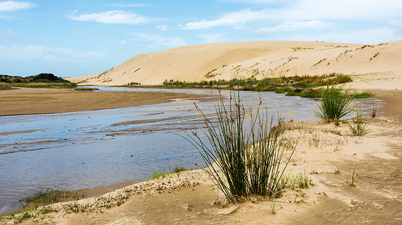 Te Paki Sand Dunes