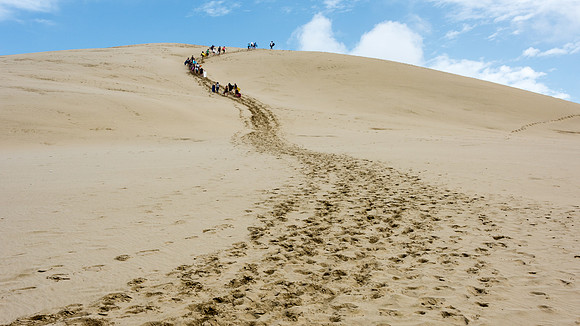Sandboarding at Te Paki Sand Dunes -1
