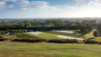 Paihia Countryside from the Air -1