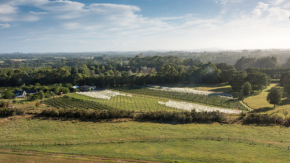 Paihia Countryside from the Air -1