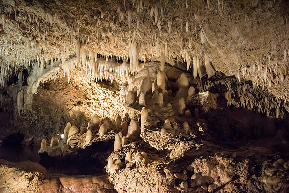 Harrison's Cave -4