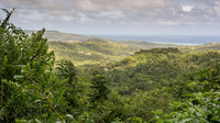 Barbados View