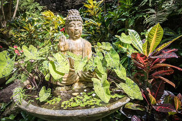 Hunte's Gardens -17