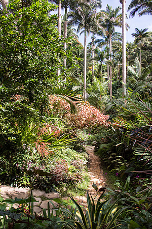 Hunte's Gardens -11