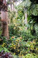 Hunte's Gardens -2