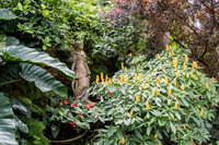 Hunte's Gardens -3